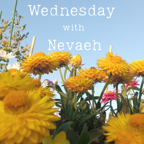 Wednesdays with Nevaeh: Episode 1